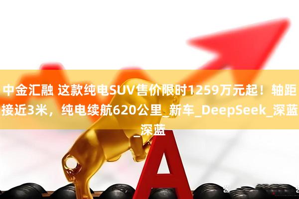 中金汇融 这款纯电SUV售价限时1259万元起！轴距接近3米，纯电续航620公里_新车_DeepSeek_深蓝