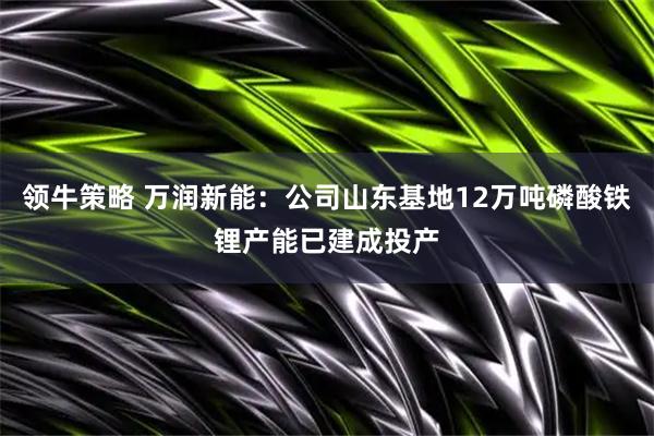 领牛策略 万润新能：公司山东基地12万吨磷酸铁锂产能已建成投产