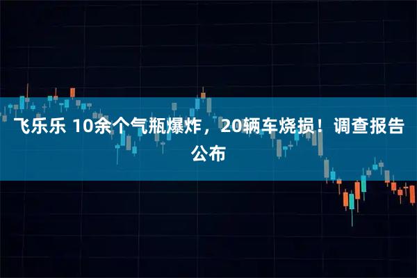飞乐乐 10余个气瓶爆炸，20辆车烧损！调查报告公布