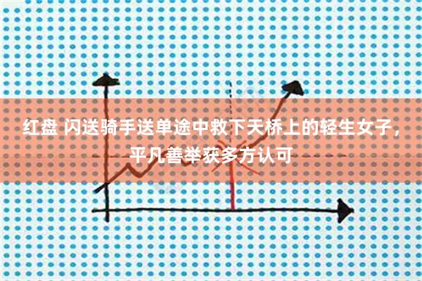 红盘 闪送骑手送单途中救下天桥上的轻生女子，平凡善举获多方认可