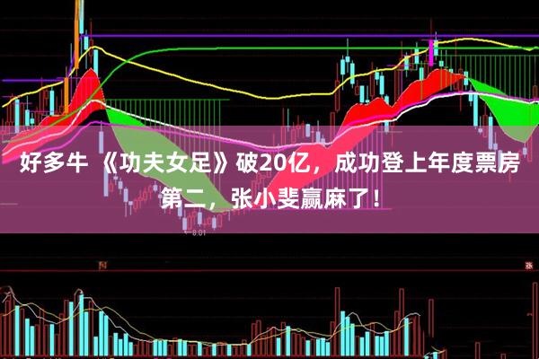 好多牛 《功夫女足》破20亿，成功登上年度票房第二，张小斐赢麻了！