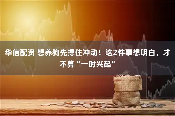 华信配资 想养狗先摁住冲动！这2件事想明白，才不算“一时兴起”